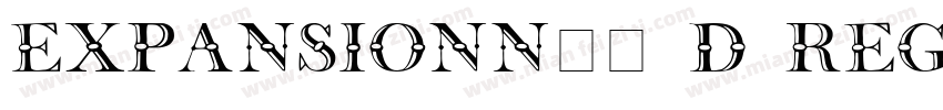 ExpansionN31 D Regu字体转换